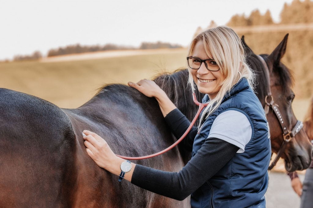 Jenny Knabe Tierärztin für Sportpferd Zuchtpferd Freizeitpferd