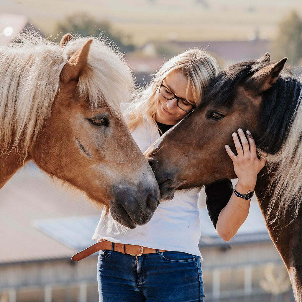 Tierarztpraxis Knabe Spezialist für Pferde und Kleintiermedizin