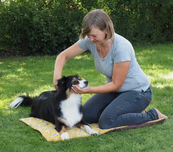 Punktgenau Mag. Tonja Böhmisch Akupunktur & Chiropraktik für Pferd & Hund bei Tierarztpraxis Knabe 10