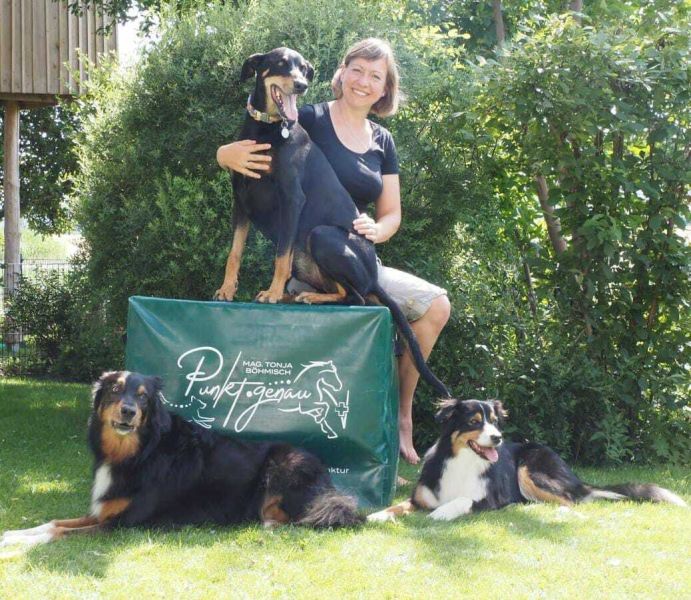 Punktgenau Mag. Tonja Böhmisch Akupunktur & Chiropraktik für Pferd & Hund bei Tierarztpraxis Knabe 7